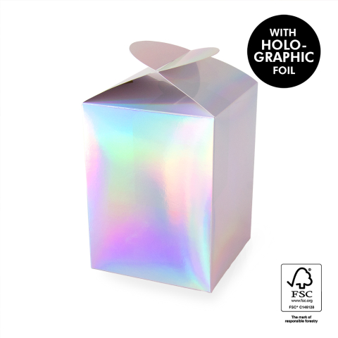 P76.207.175 Geschenkdoos - Large - Holographic